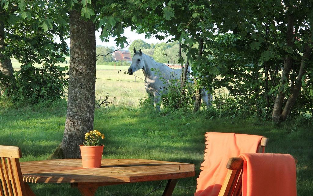 Tryde 1303 B&B på Österlen Tomelilla Exterior foto